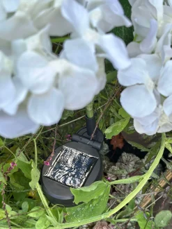 VIAMAJA Hortensia med solceller - Hvid Outlet