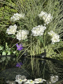 VIAMAJA Hortensia med solceller - Hvid Outlet