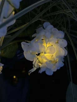 VIAMAJA Hortensia med solceller - Hvid Outlet