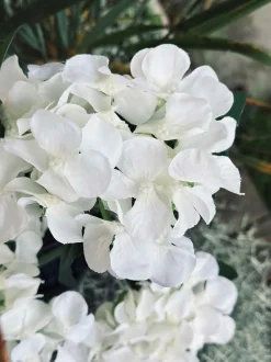 VIAMAJA Hortensia med solceller - Hvid Outlet