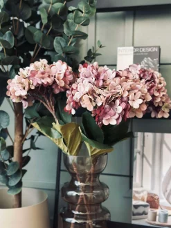 VIAMAJA Hortensia Old Rose New