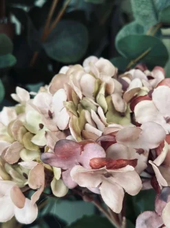 VIAMAJA Hortensia Old Rose New