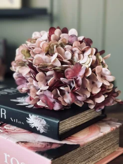 VIAMAJA Hortensia Old Rose New