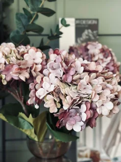 VIAMAJA Hortensia Old Rose New