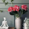 VIAMAJA Hortensia Pink Discount