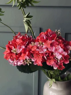 VIAMAJA Hortensia Pink Discount
