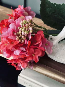 VIAMAJA Hortensia Pink Discount
