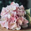 VIAMAJA Hortensia Rosa Hot