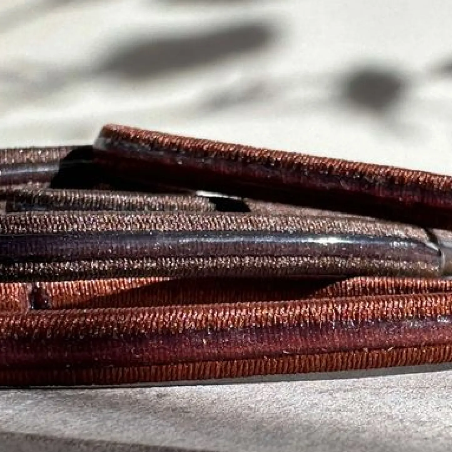 VIAMAJA Hårelastikker Brown - Anti-skrid New