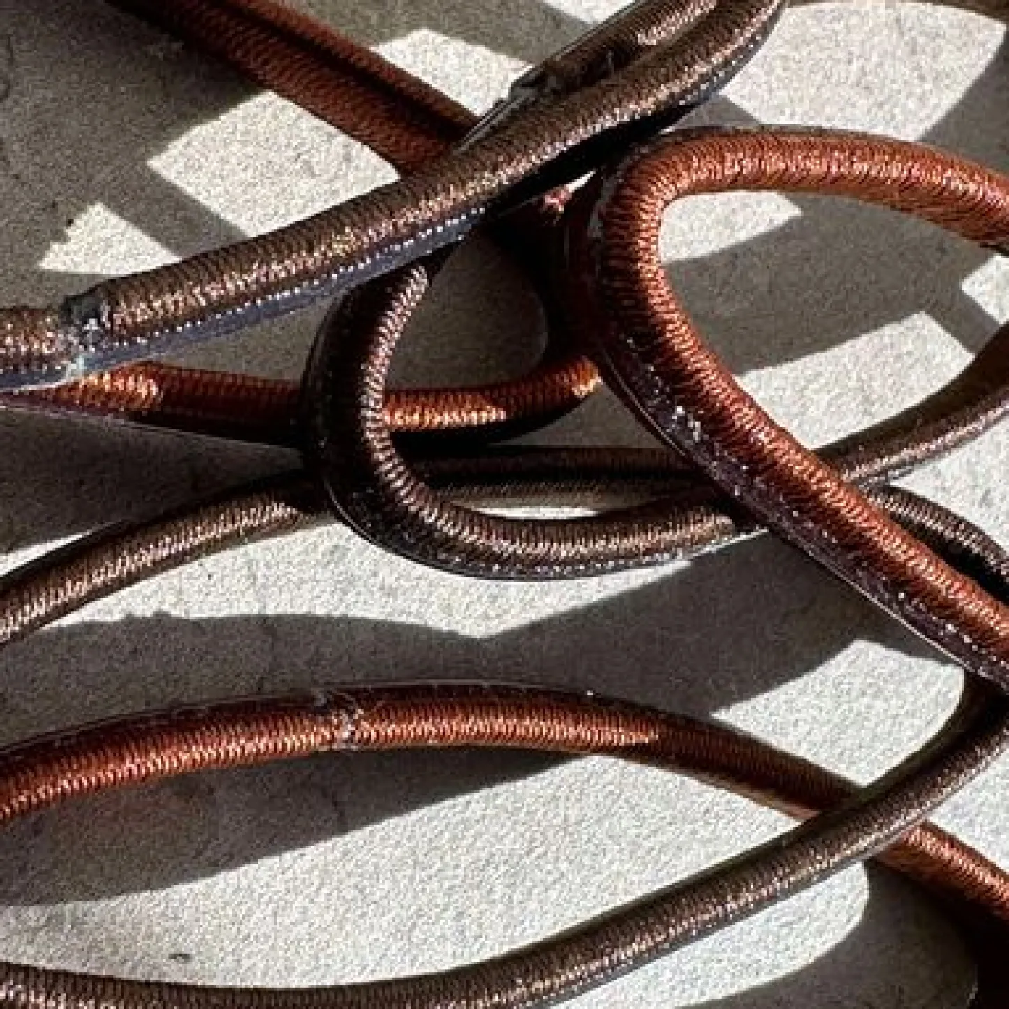 VIAMAJA Hårelastikker Brown - Anti-skrid New