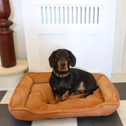 VIAMAJA Hundekurv i fløjl 70x52cm Discount