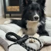 VIAMAJA Hundesnor 1,5 meter med poseholder New