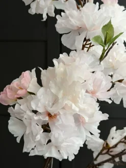 VIAMAJA Kirsebærgren med lys - Rosa / hvid New