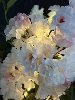 VIAMAJA Kirsebærgren med lys - Rosa / hvid New
