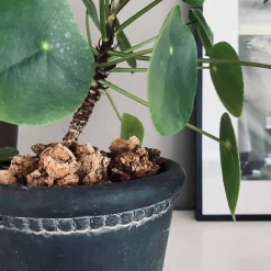 VIAMAJA Kork bark til dekoration - Natur Discount