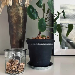 VIAMAJA Kork bark til dekoration - Natur Discount