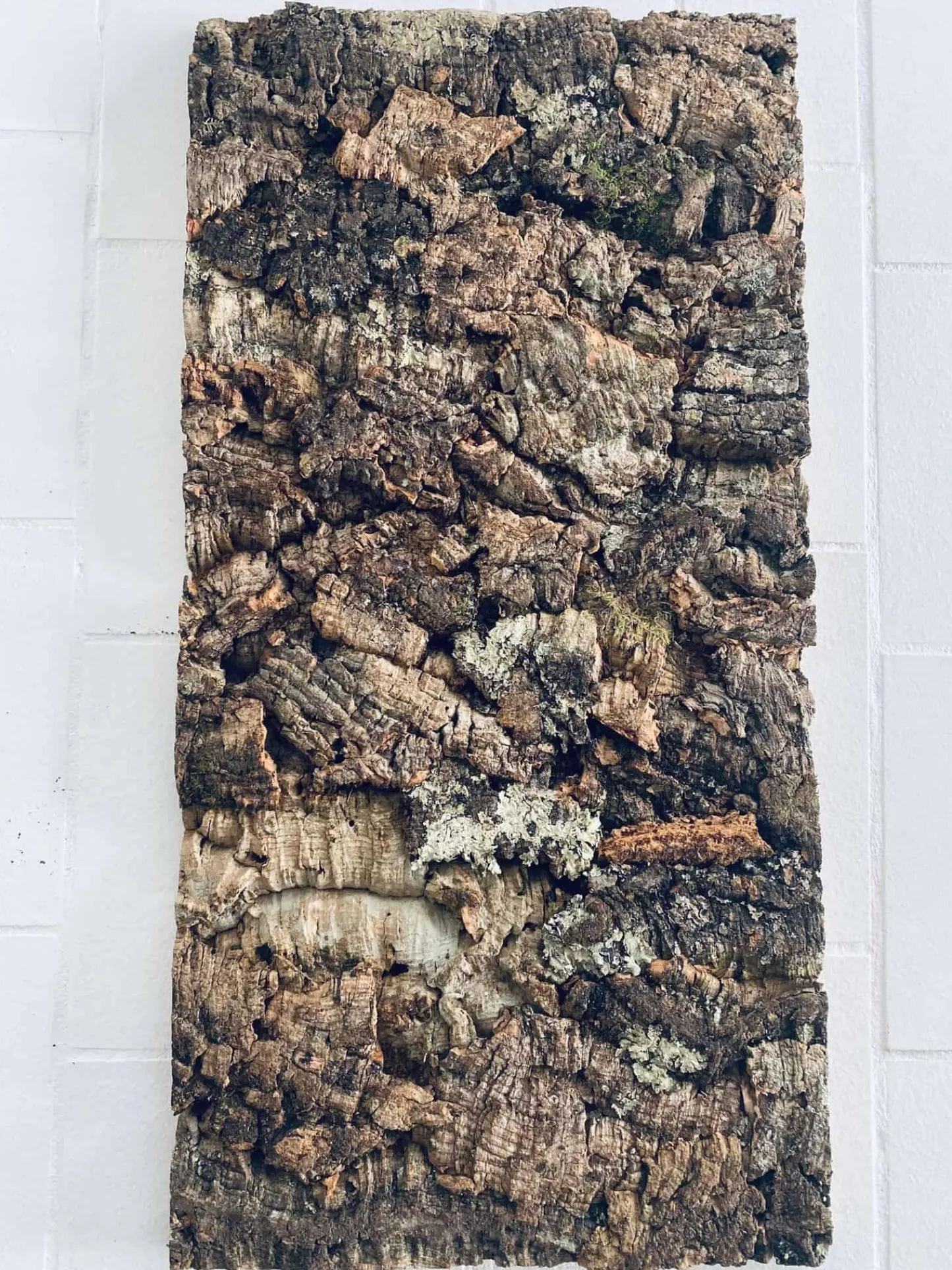 VIAMAJA Korkplade deluxe 30×60 – Nature virgin Clearance