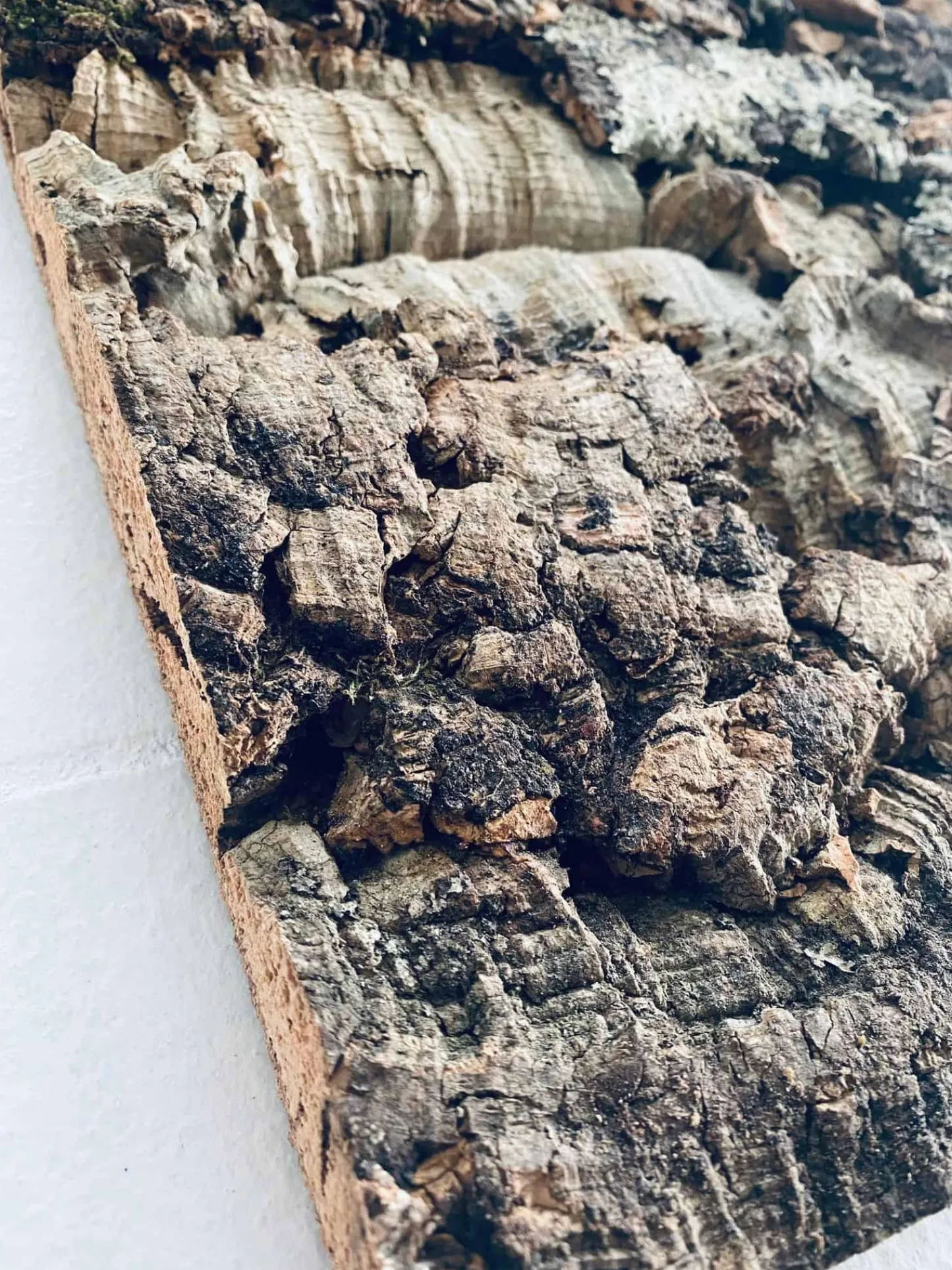 VIAMAJA Korkplade deluxe 30×60 – Nature virgin Clearance
