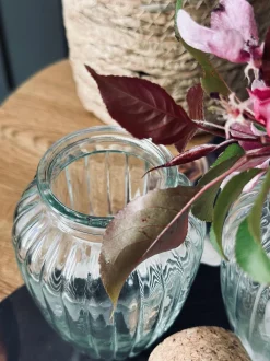 VIAMAJA Krydderiglas m. kork 280 ml – pakke med 6 stk Sale