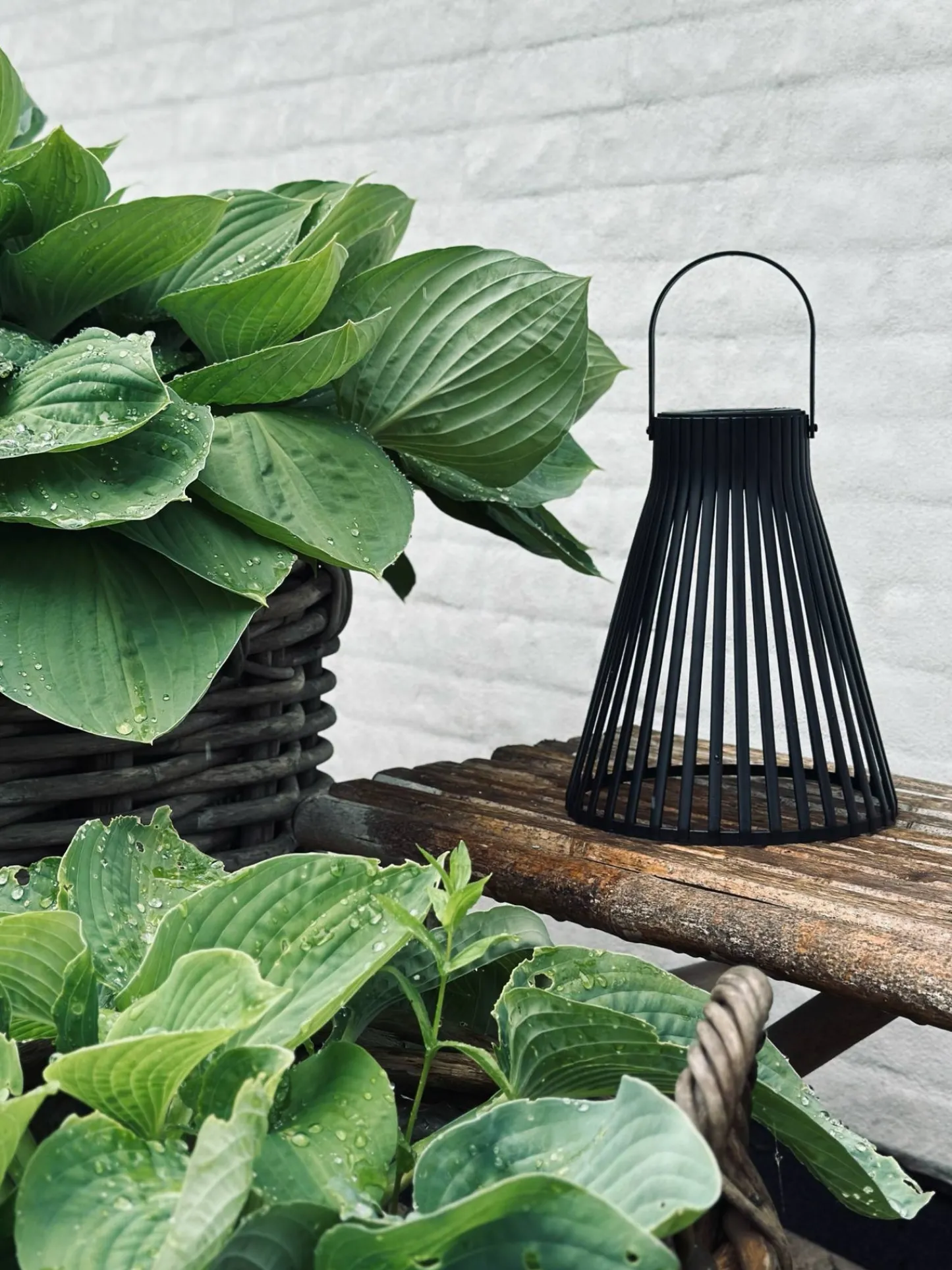 VIAMAJA Lanterne med solceller - GARDEN BLACK 24cm Sale