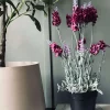 VIAMAJA Lavendel 40cm - Hindbær