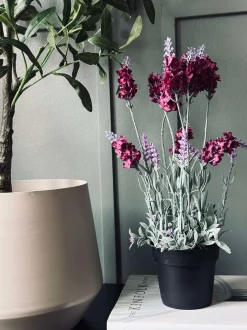 VIAMAJA Lavendel 40cm - Hindbær