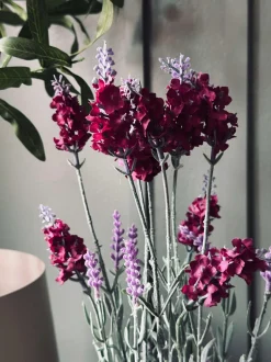 VIAMAJA Lavendel 40cm - Hindbær