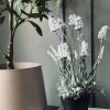 VIAMAJA Lavendel 40cm - Hvid Clearance