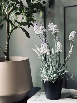 VIAMAJA Lavendel 40cm - Hvid Clearance