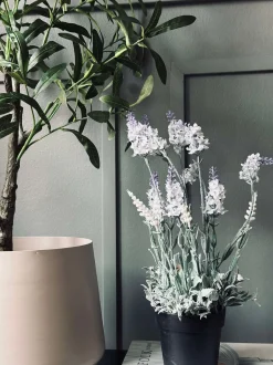 VIAMAJA Lavendel 40cm - Hvid Clearance