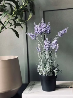 VIAMAJA Lavendel 40cm - Lys lilla Discount