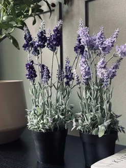 VIAMAJA Lavendel 40cm - Lys lilla Discount