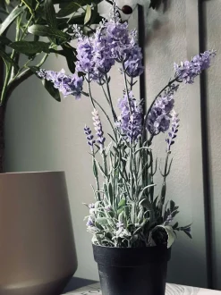 VIAMAJA Lavendel 40cm - Lys lilla Discount