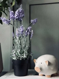 VIAMAJA Lavendel 40cm - Lys lilla Discount