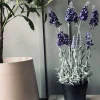 VIAMAJA Lavendel 40cm - Mørk Lilla Discount