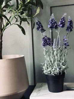 VIAMAJA Lavendel 40cm - Mørk Lilla Discount