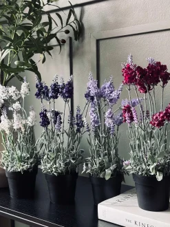 VIAMAJA Lavendel 40cm - Mørk Lilla Discount