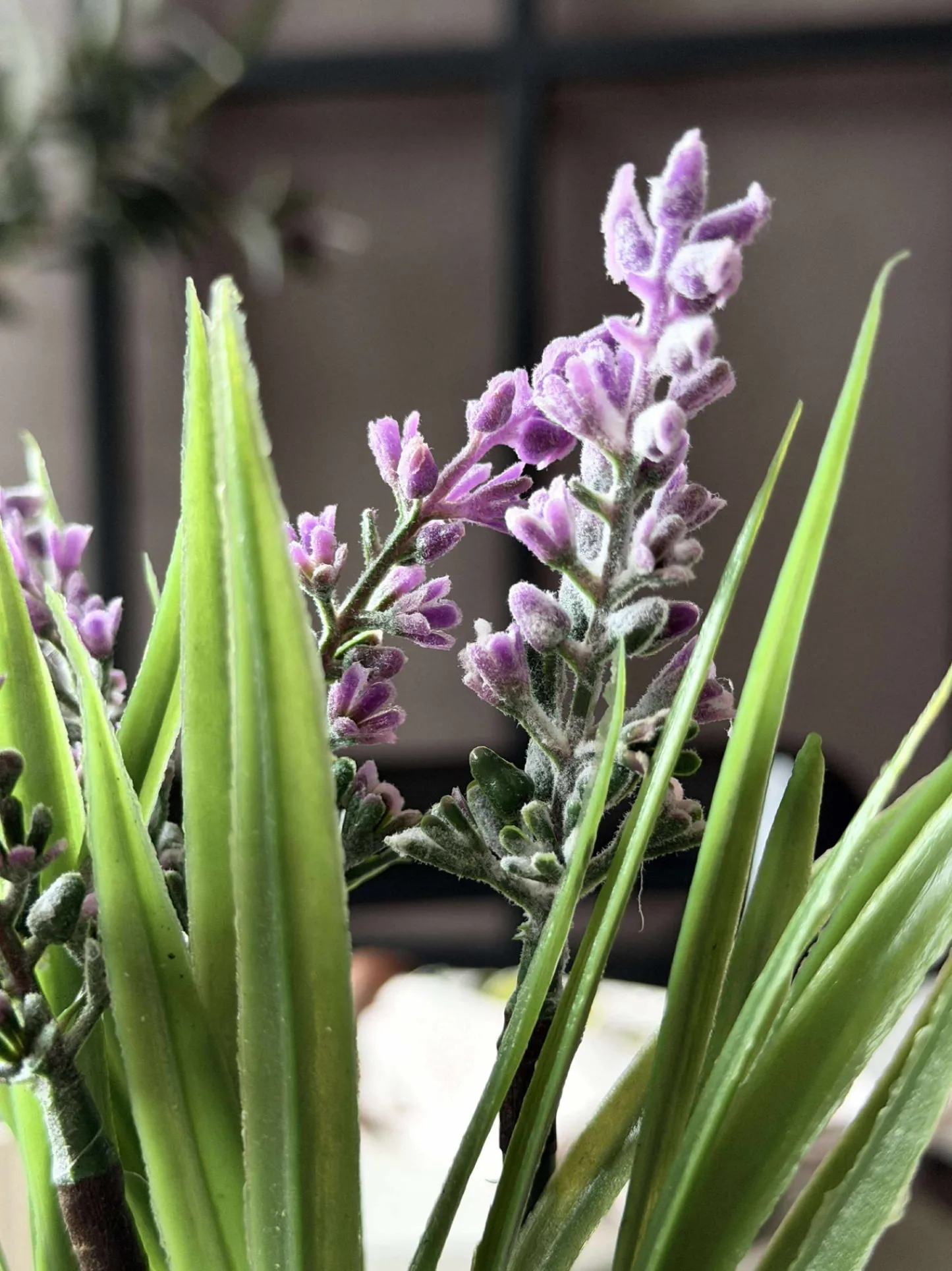 VIAMAJA Lavendel moskugle Outlet