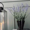 VIAMAJA Lavendel på stilk Hot