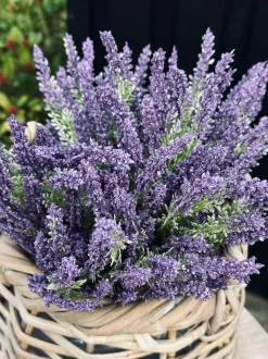 VIAMAJA Lavendel på stilk Clearance