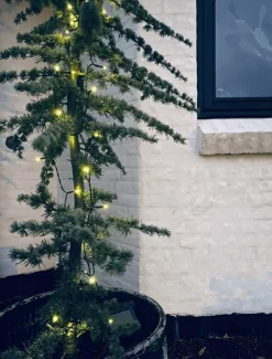 VIAMAJA Lyskæde med solceller - Ekstra kraftig med 100 led lys New