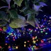 VIAMAJA Lyskæde med solceller PARTY - Ekstra kraftig med 400 led lys Best