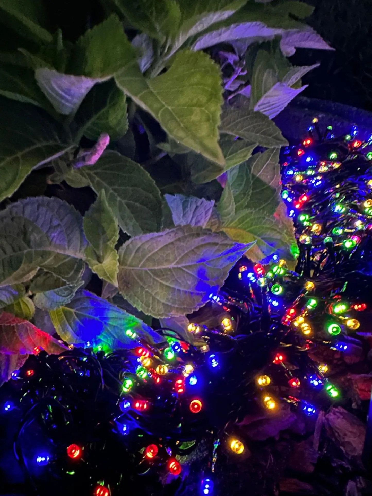 VIAMAJA Lyskæde med solceller PARTY - Ekstra kraftig med 400 led lys Best