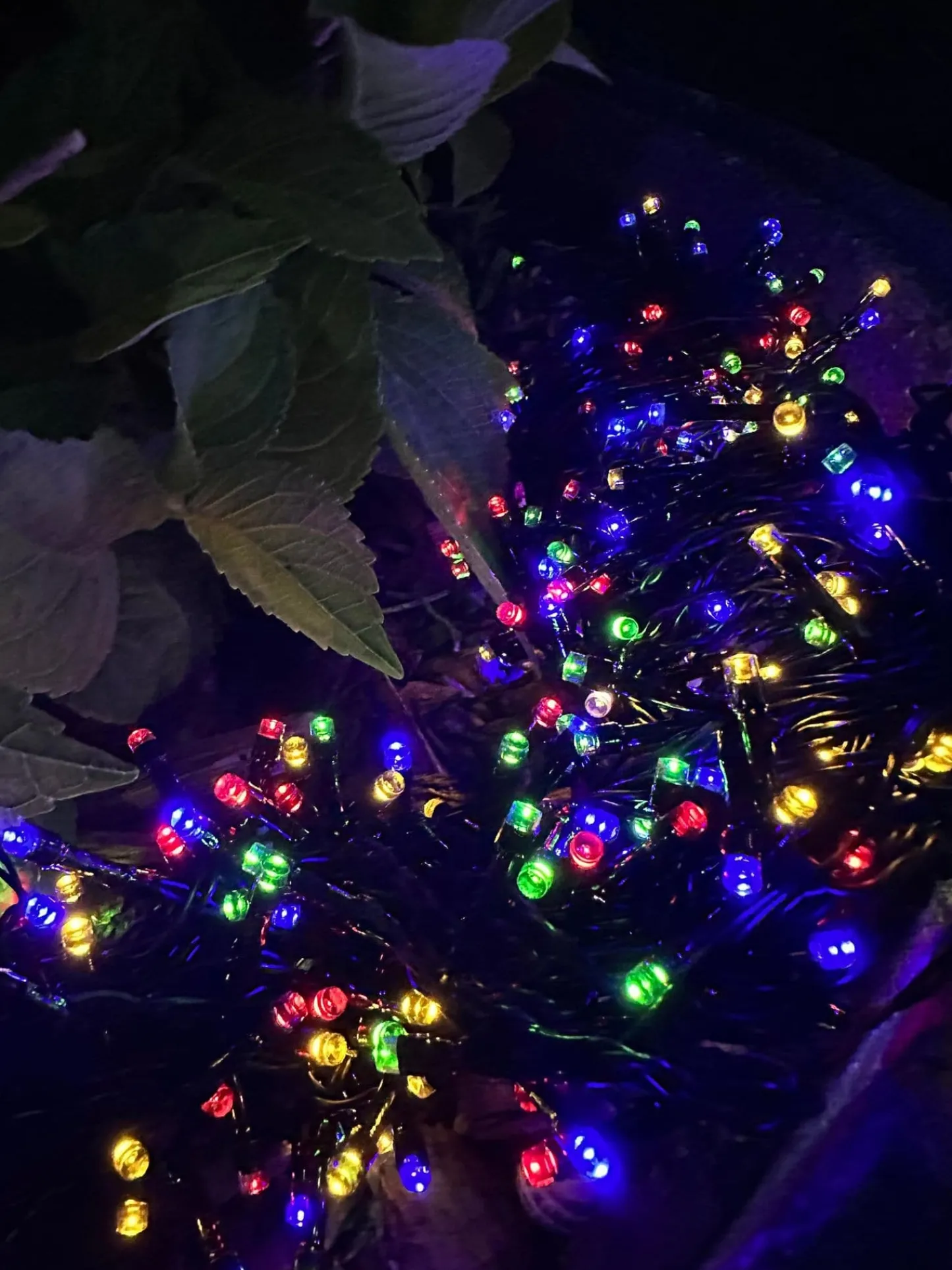 VIAMAJA Lyskæde med solceller PARTY - Ekstra kraftig med 400 led lys Best