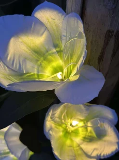 VIAMAJA Magnolia med solceller - Hvid Clearance