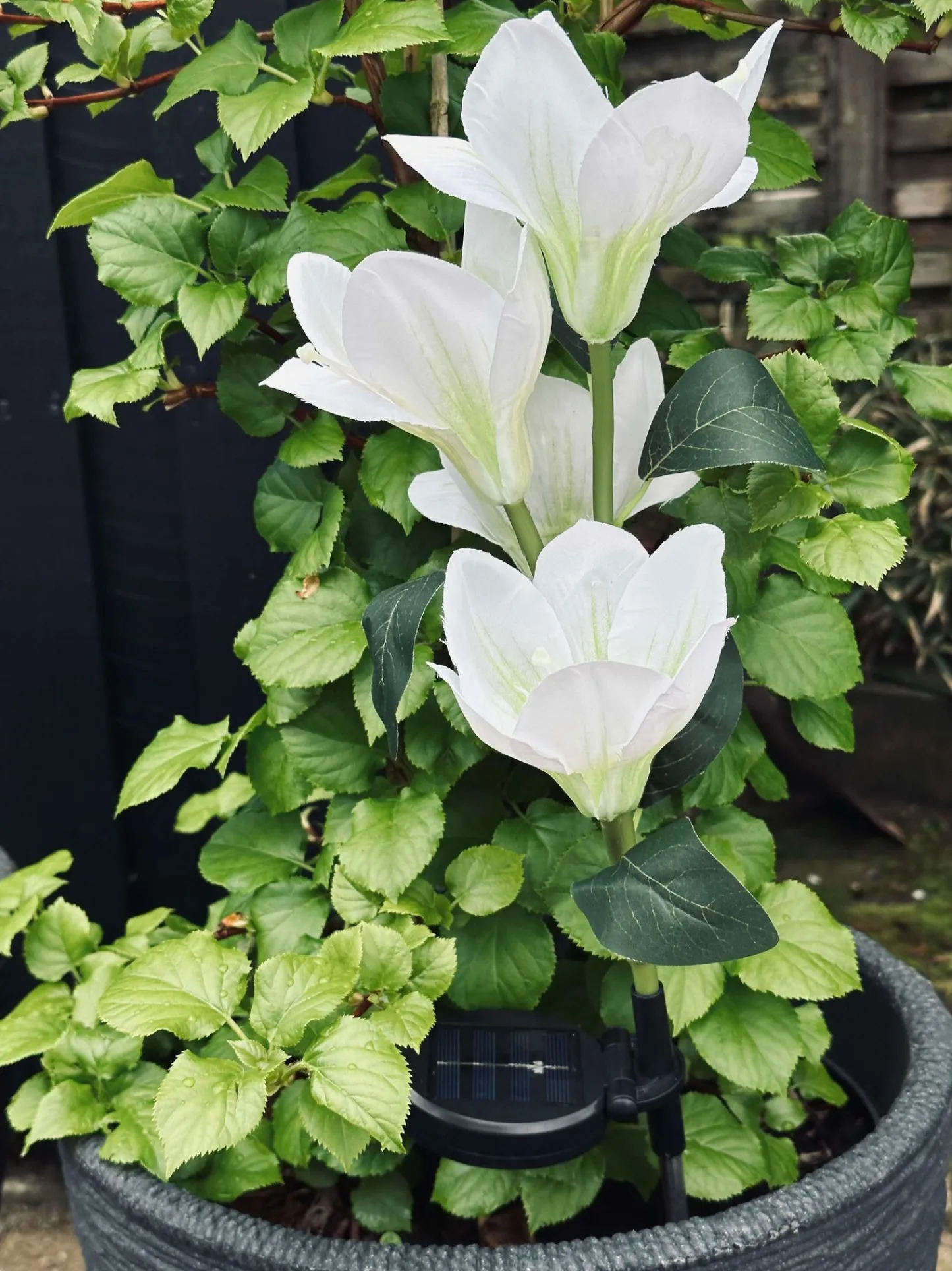 VIAMAJA Magnolia med solceller - Hvid Clearance