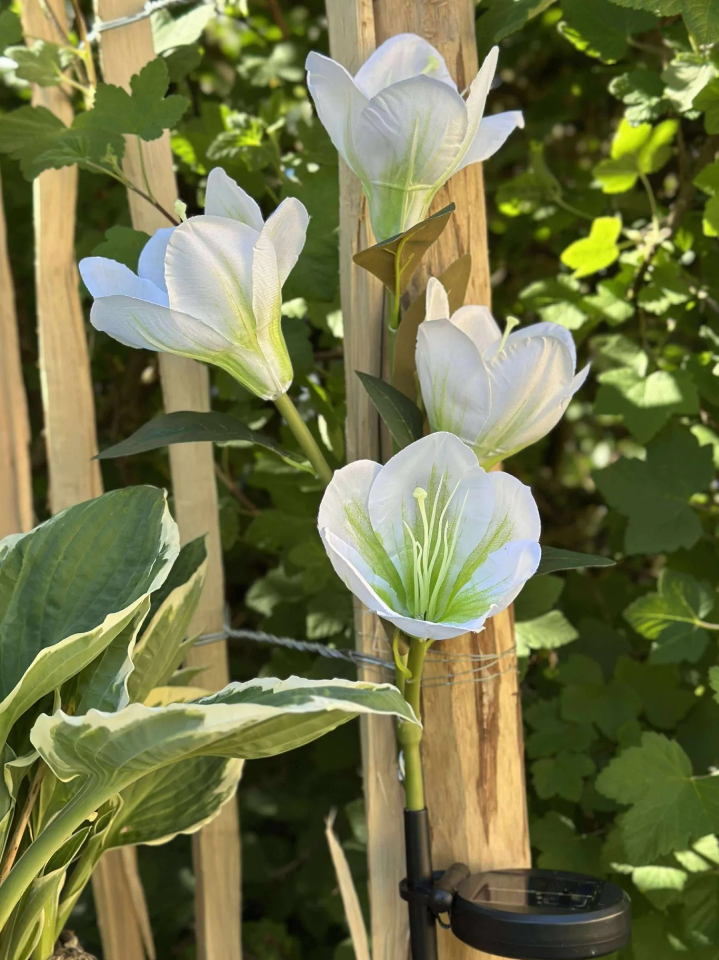 VIAMAJA Magnolia med solceller - Hvid Clearance