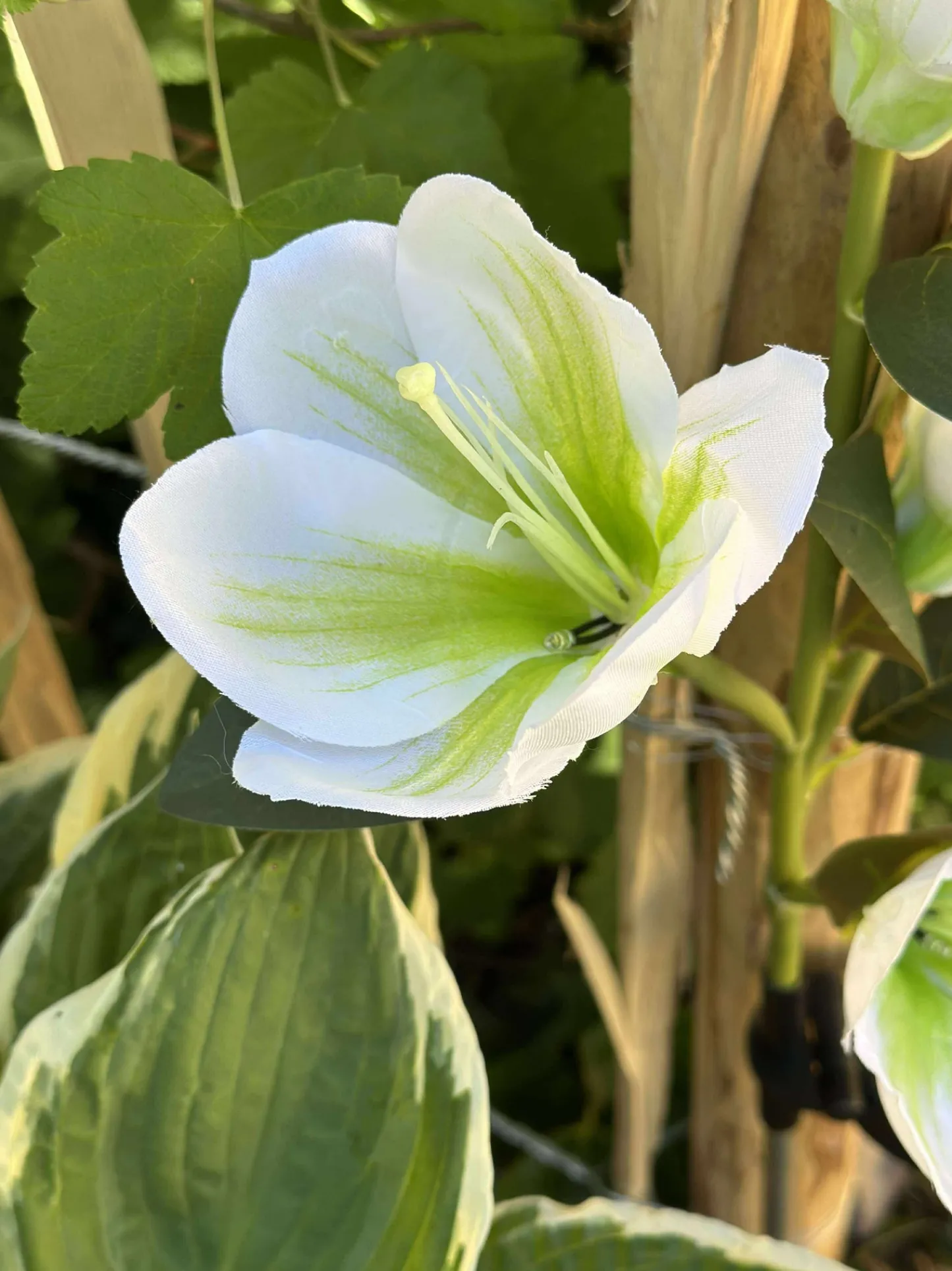 VIAMAJA Magnolia med solceller - Hvid Clearance