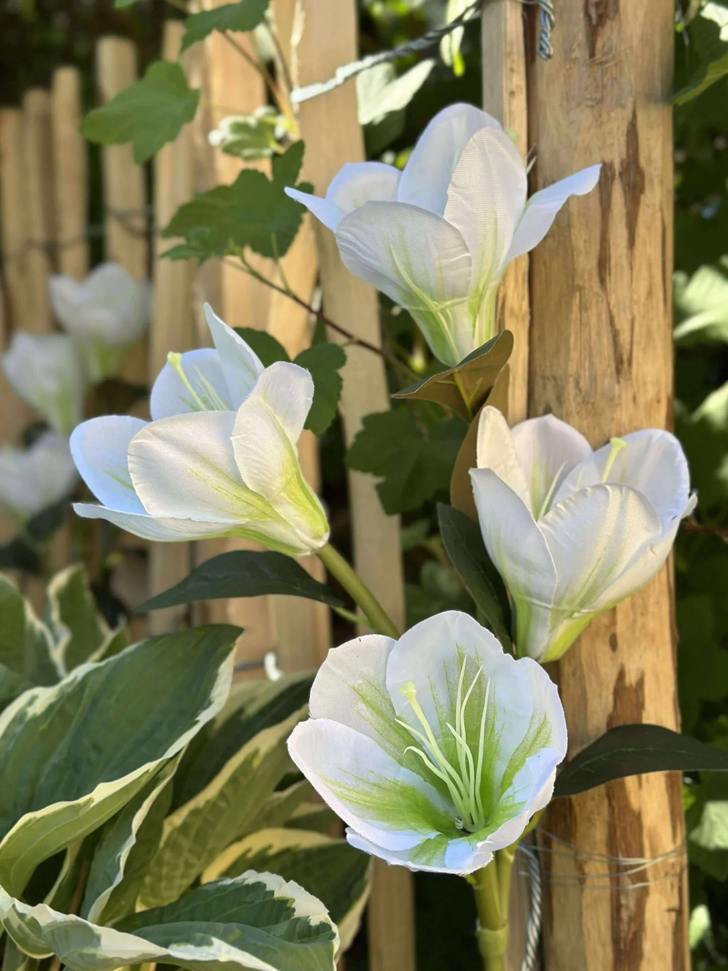 VIAMAJA Magnolia med solceller - Hvid Clearance