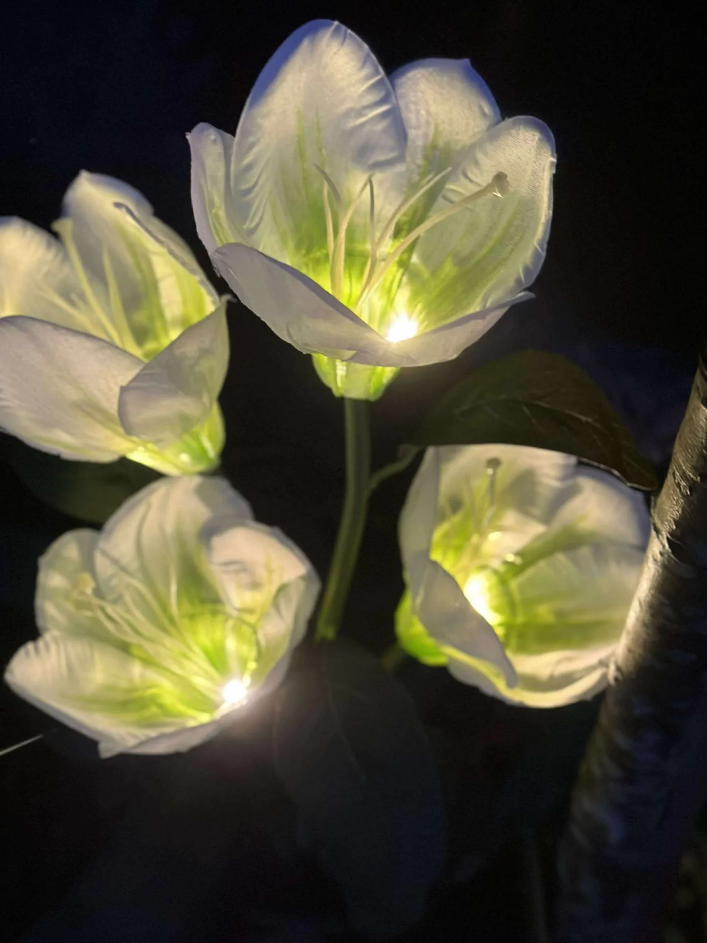 VIAMAJA Magnolia med solceller - Hvid Clearance